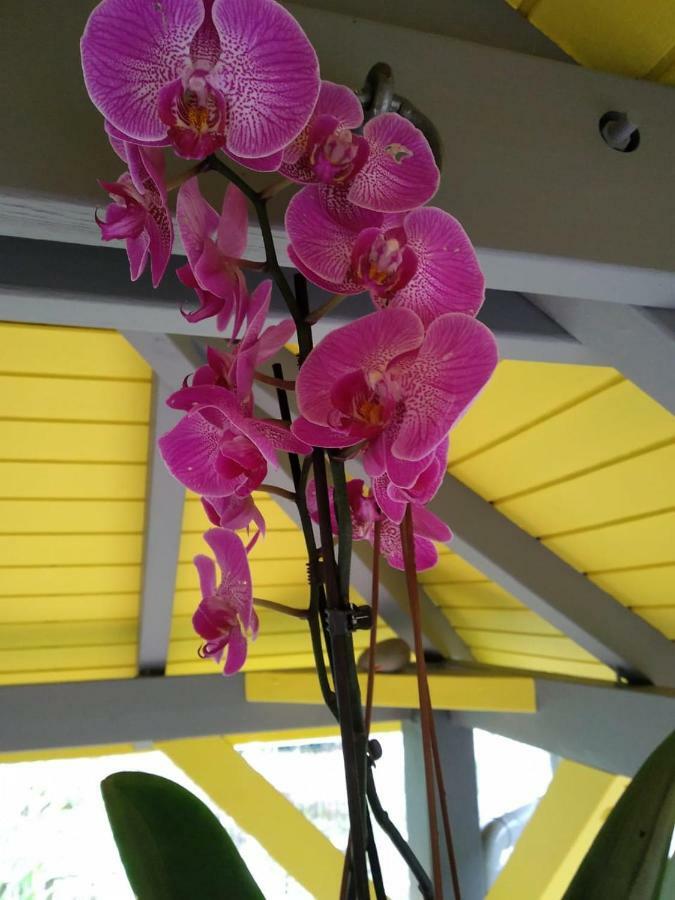 Ti Kaz en Bois Villa Sainte-Rose Dış mekan fotoğraf