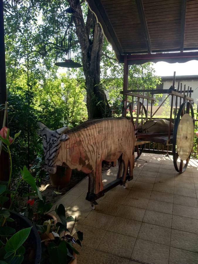 Ti Kaz en Bois Villa Sainte-Rose Dış mekan fotoğraf